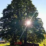 Mit Bergpanorama By Interhome Lejlighed Zweisimmen