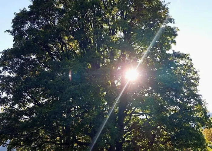 Mit Bergpanorama By Interhome 公寓 茨魏西门